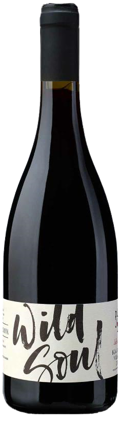 줄리앙 수니에 와일드 소울 2021