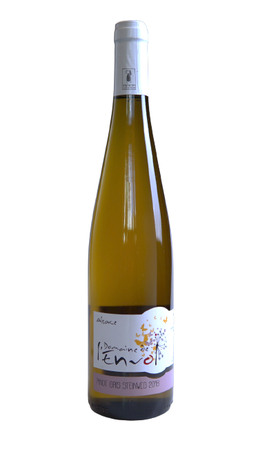 피노그리 슈타인베그 2018