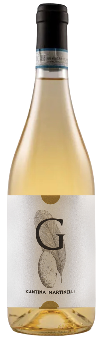 일 지간테 지 DOC 2019