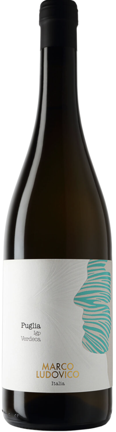 베르데카 IGP 2021