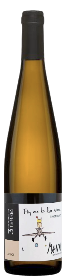 플라이 미 투 더 문 2019