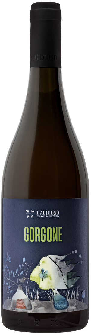 고르곤 카타라토 IGP 2020