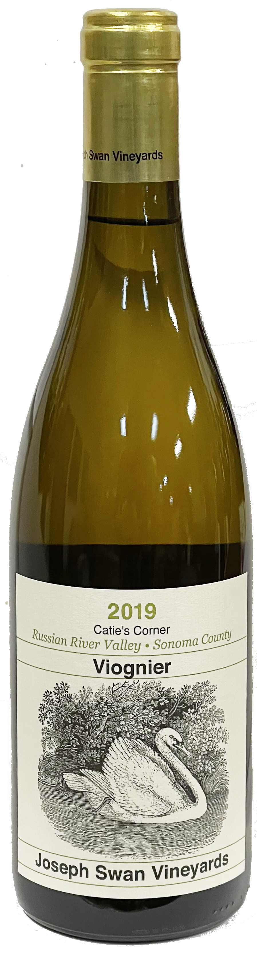 조셉 스완 비오니에 2019