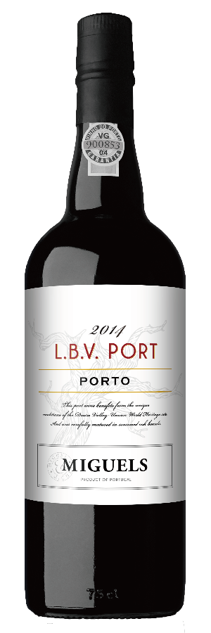 미구엘 엘비브이 포트 2016