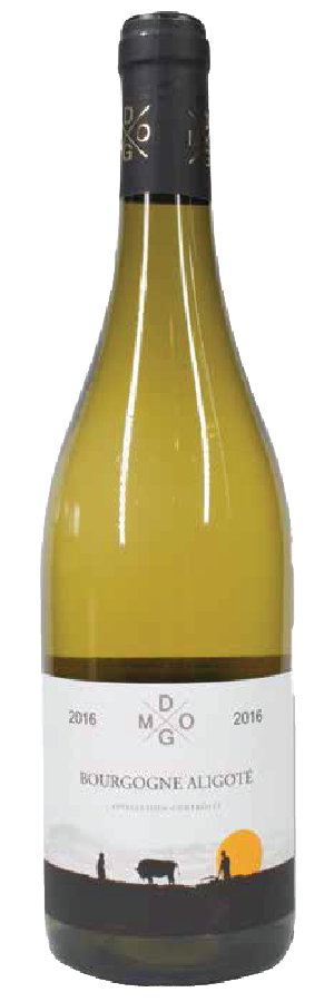 디엠오지 부르고뉴 알리고떼 2019