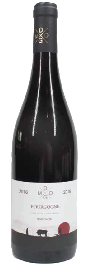 디엠오지 부르고뉴 피노 누아 2020