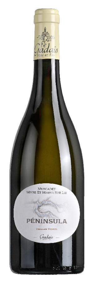 도멘 갸데 쉬르 리 비에이 비뉴 2020