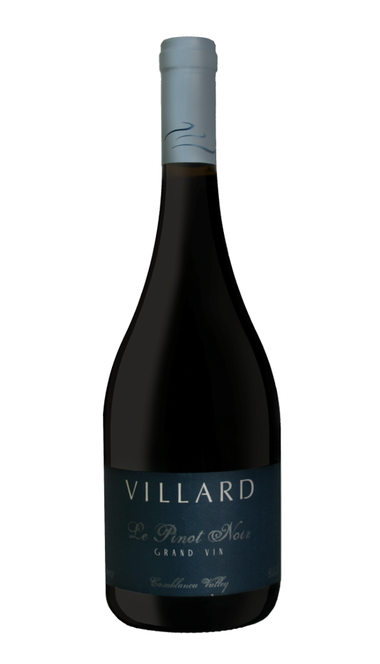 그랑 뱅 르 피노누아 2024