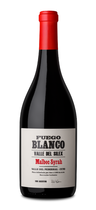 푸에고 블랑코 말벡 시라 2021