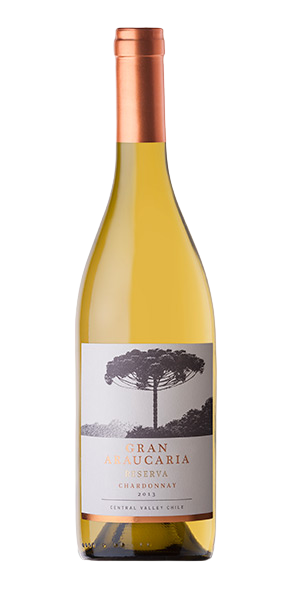 그란 아라우까리아 그란 리제르바 샤도네이 2020