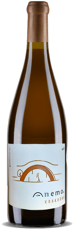 아네모, 카라쿠나 2020