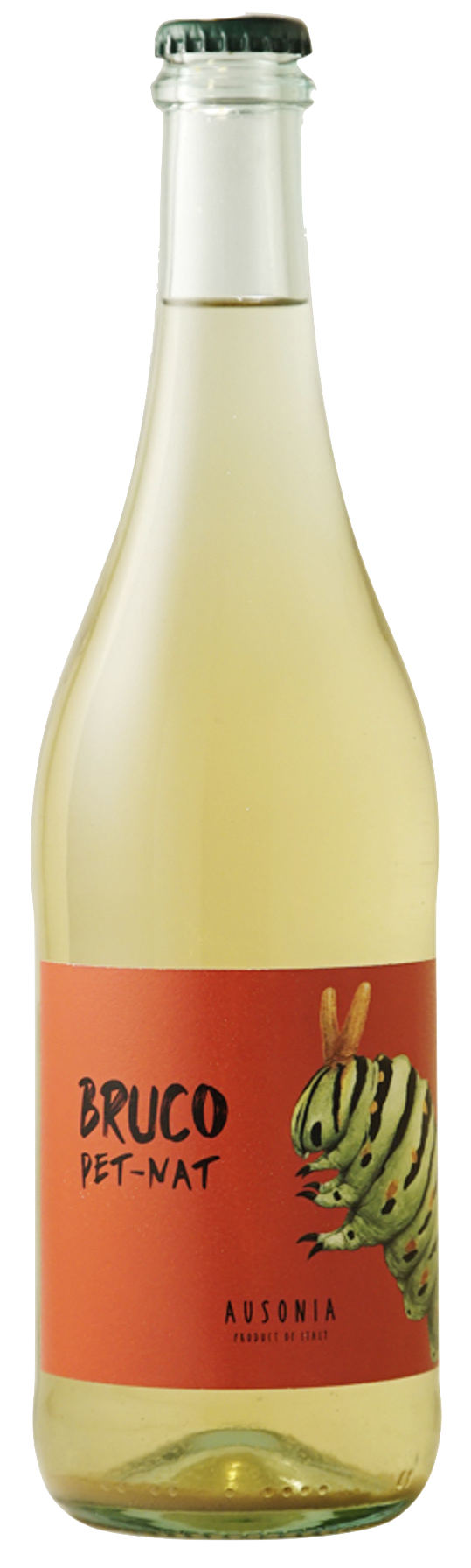 브루코 펫낫 2021