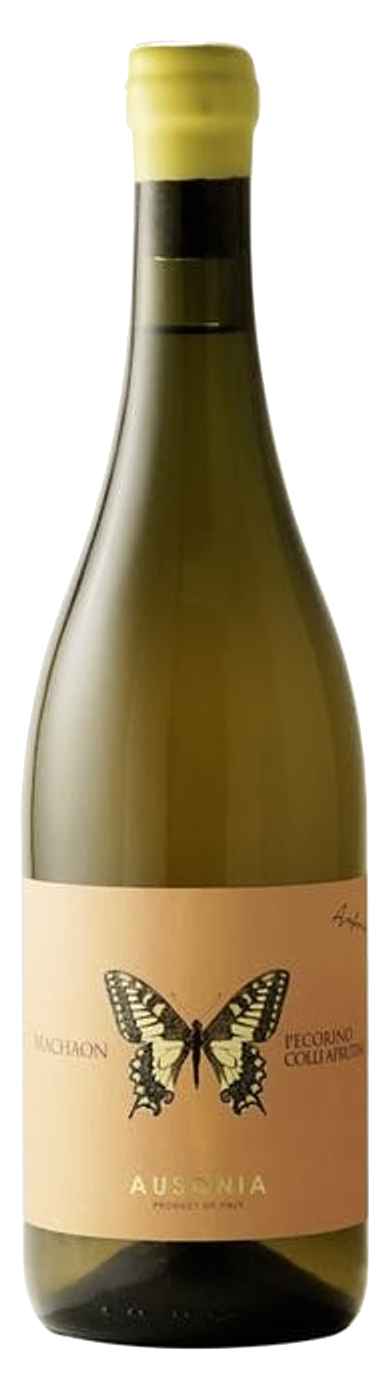 마카온 페코리노 콜리 아프루티 2021