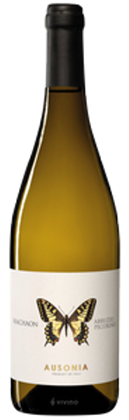 마카온 아브루쪼 페코리노 2019