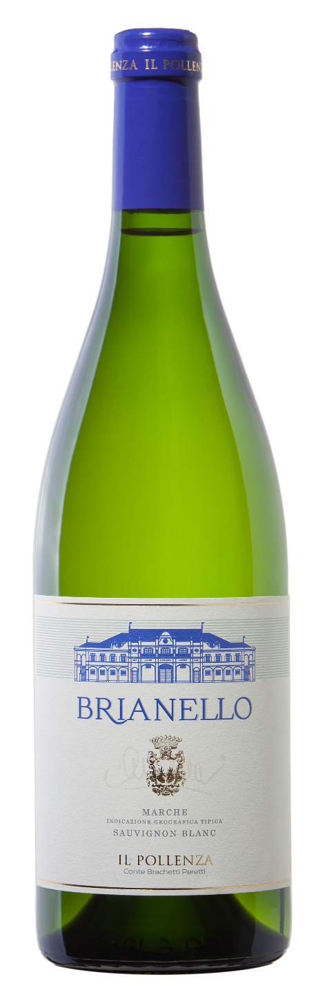 브리아넬로 2023