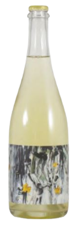 공크, 캔버스 화이트 2020