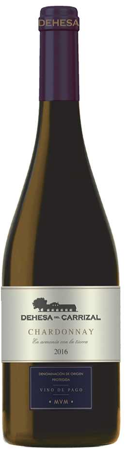 데헤사 델 까리잘 샤도네이