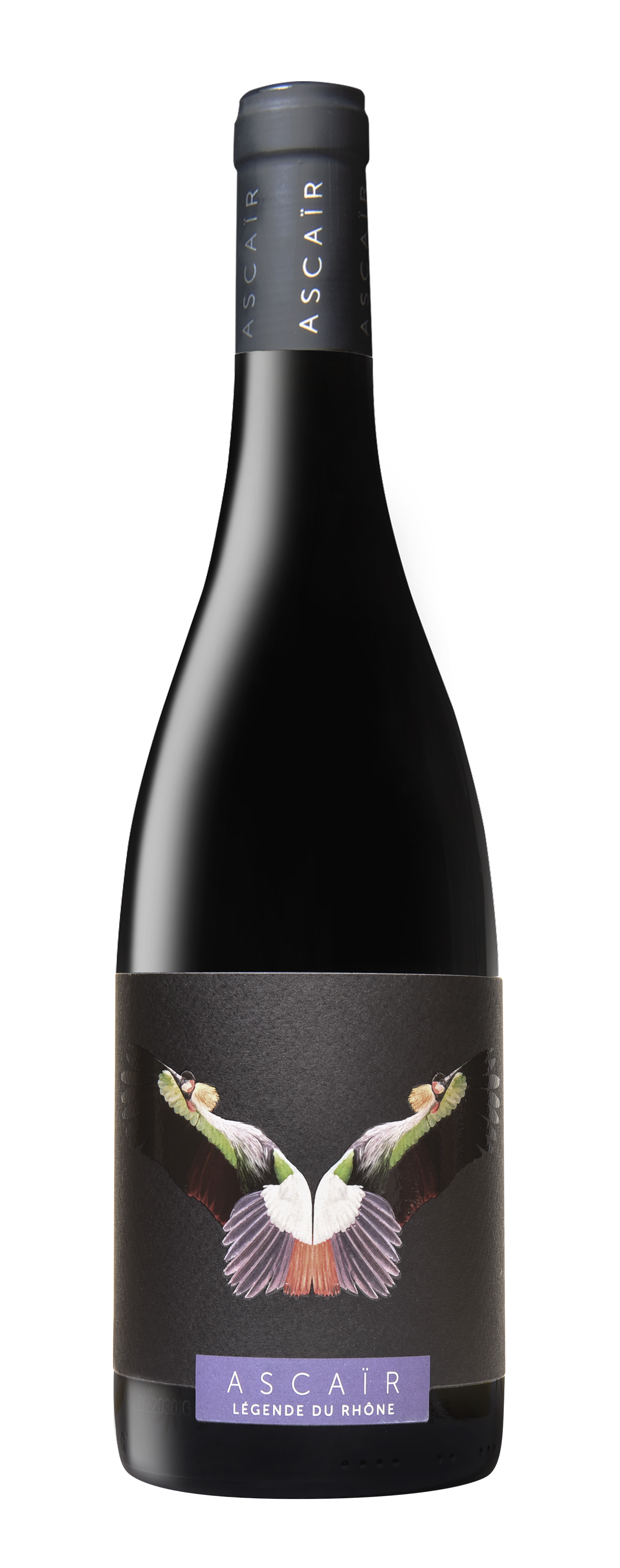 아스케이아 꼬뜨 뒤 론 빌라쥐 루즈 2019