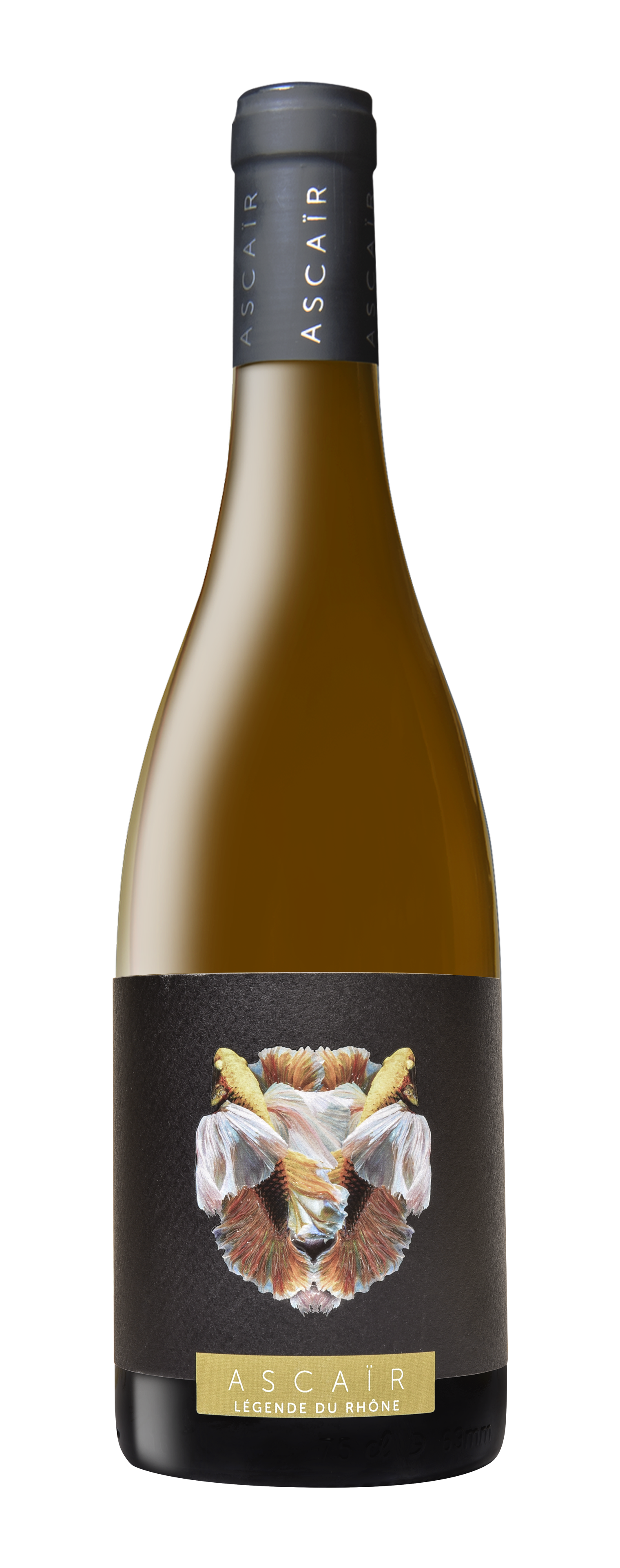 아스케이아 꼬뜨 뒤 론 블랑 2019