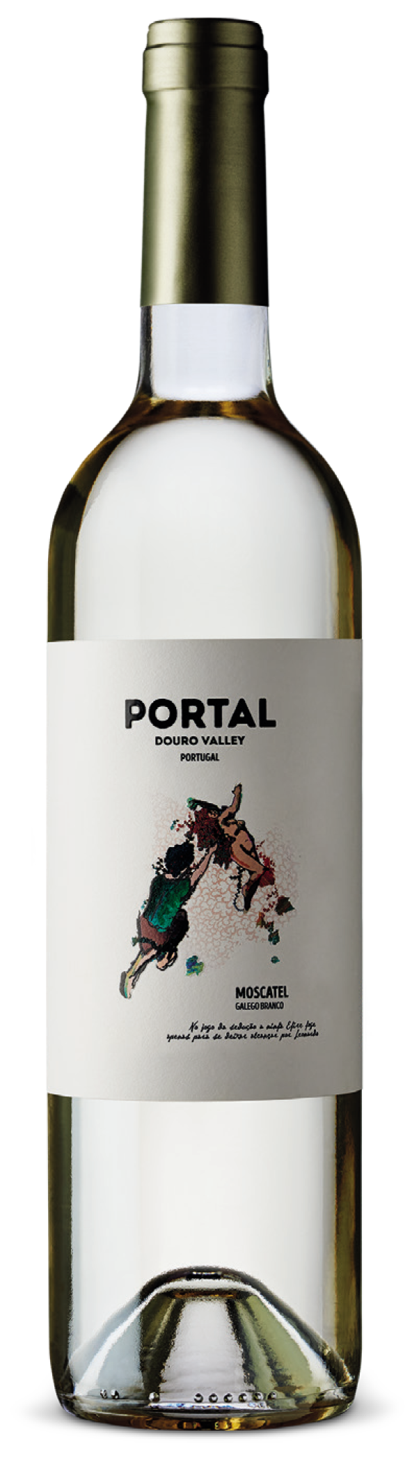 포르탈 모스카텔 갈레고 브랑코 2020