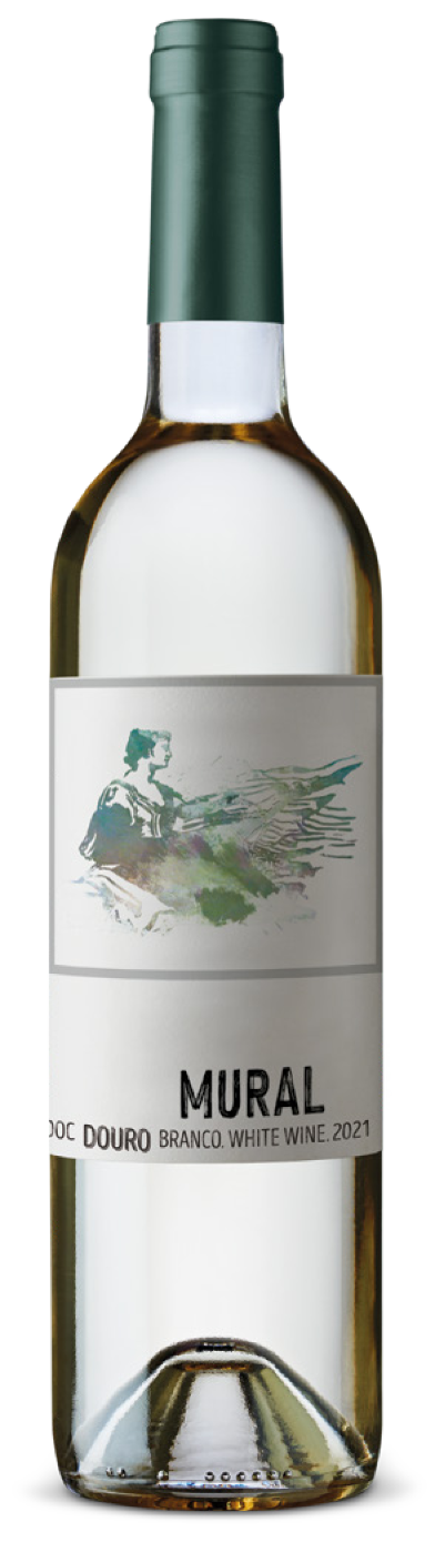 뮤랄 브랑코 2022