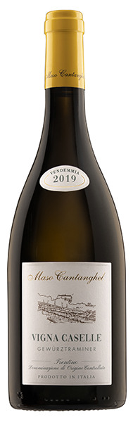 마소 칸탕겔, 게뷔르츠트라미너 2023