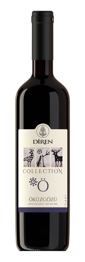 디렌 콜렉션 오큐즈괴쥬 2021