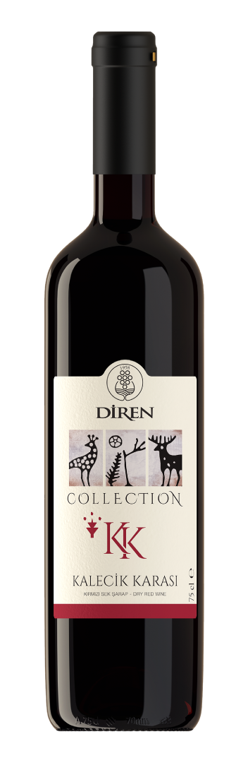 디렌 콜렉션 칼레직 카라스 2021