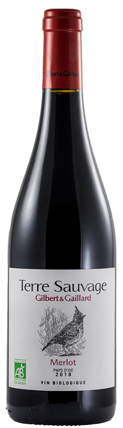 테레 소비지 메를로 2020