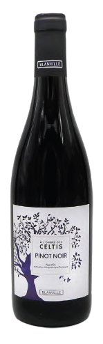 [마지막수량할인] 셀티스 피노누아 2021