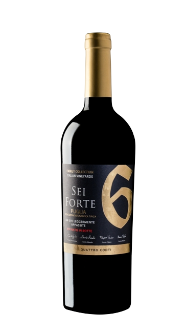 6번 세이 포르테