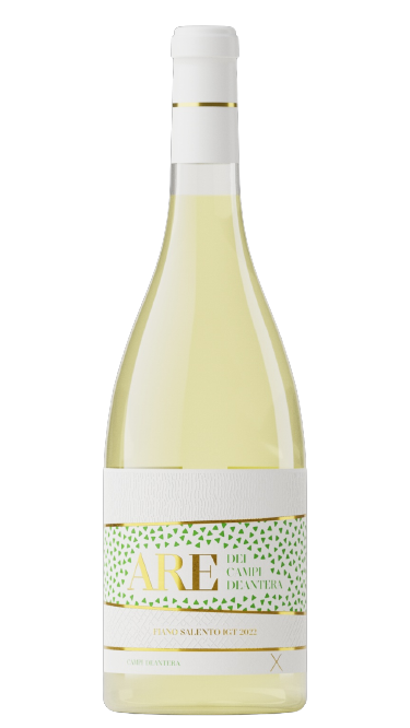 캄피 아레 피아노