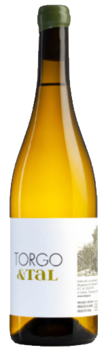 토르고 & 탈 2018