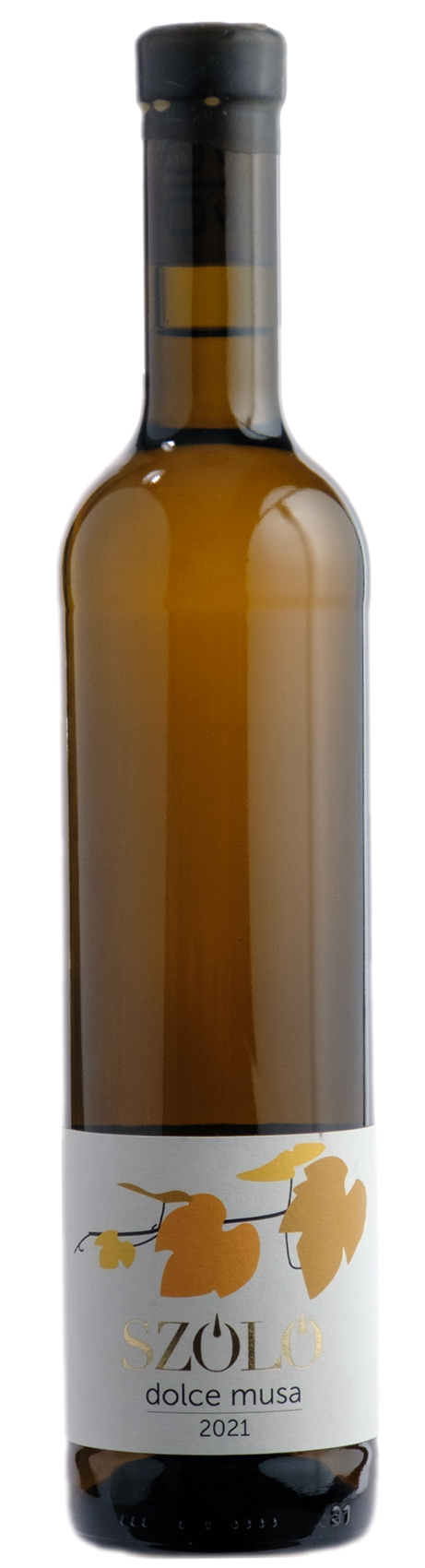 졸로 돌체 무사 2021