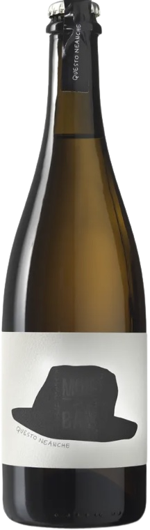 쿠에스토 네안케 2020