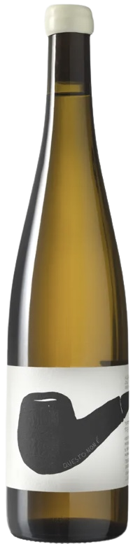 쿠에스토 논 에 2022