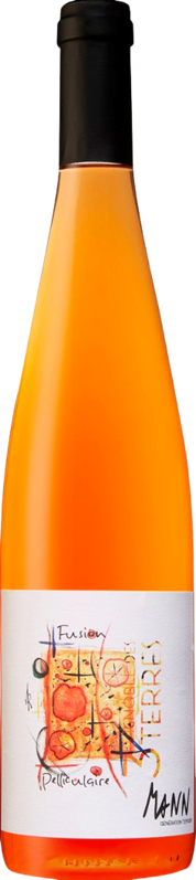 퓨지옹 펠리큘레어 2022