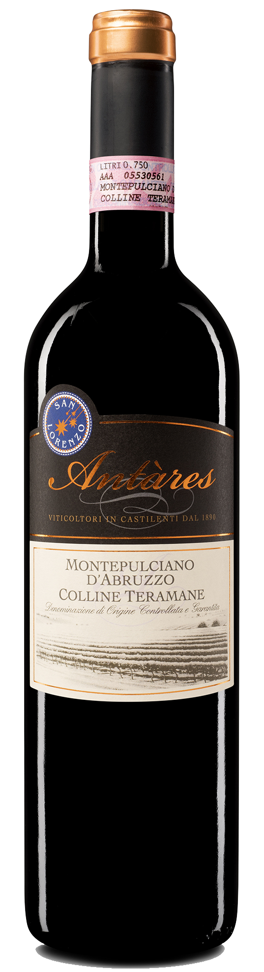 안타레스 콜리네 테라마네 몬테풀치아노 다부르쪼 2020