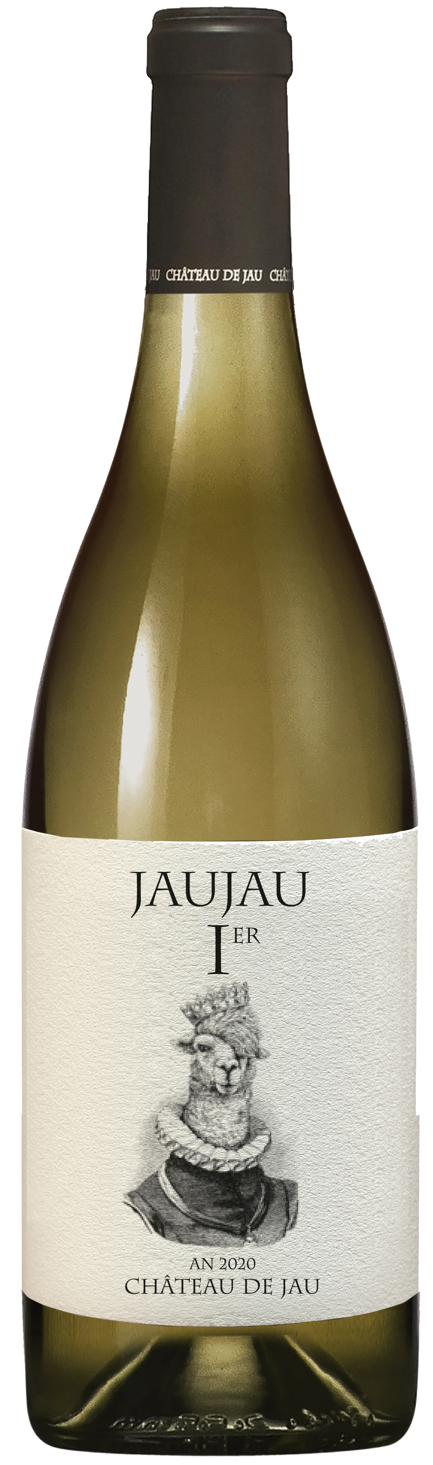 주주 프리미어 블랑 2020_라마 2020