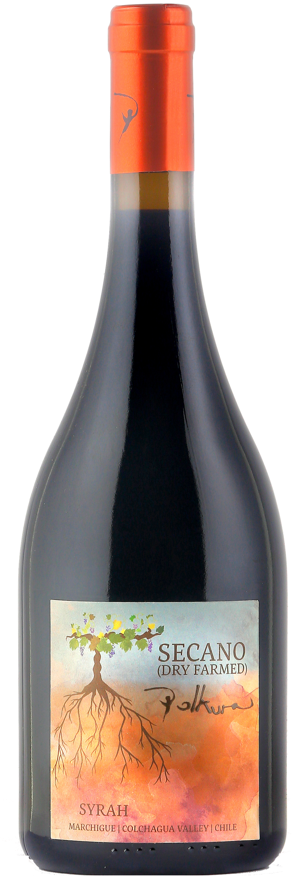 폴쿠라 세카노 2018