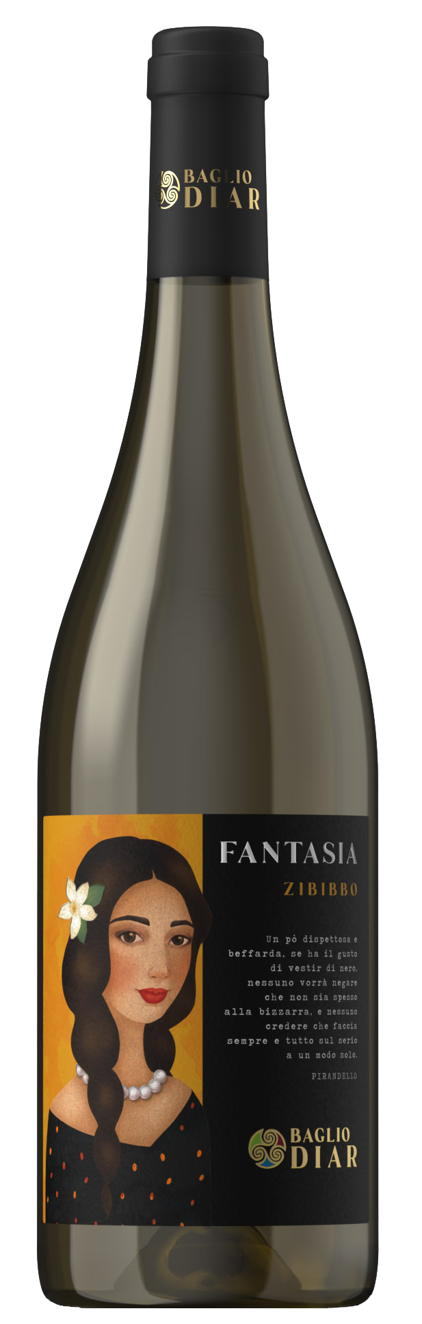 판타지아 지비뽀 2024