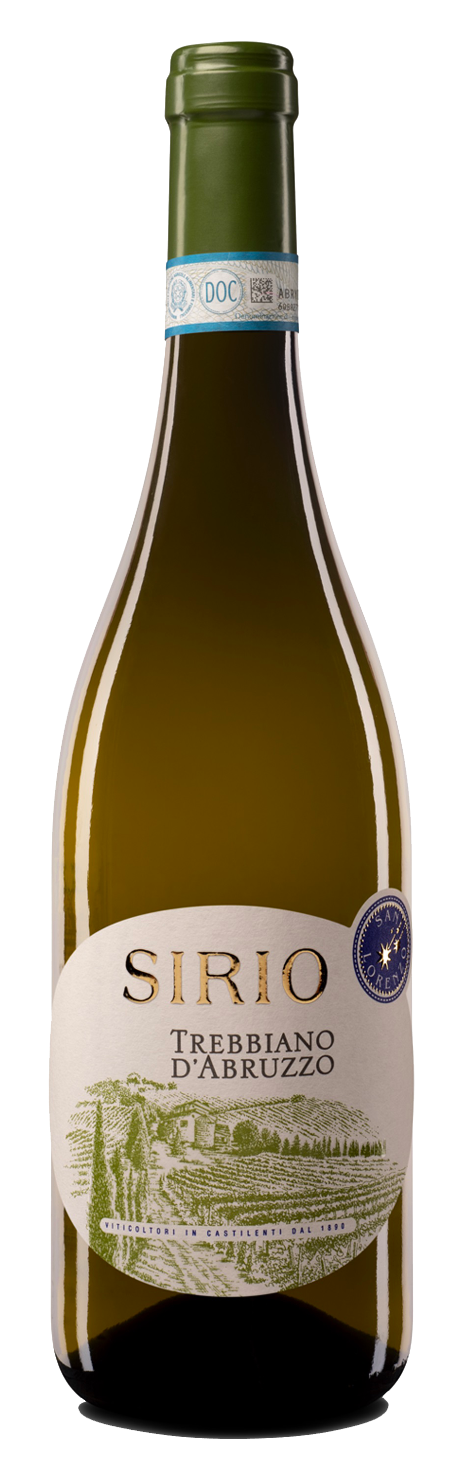 시리오 트레비아노 다부르쪼 2024