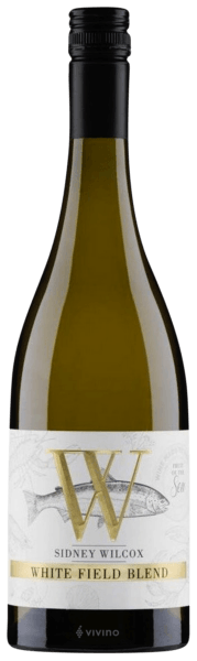 시드니 윌콧 화이트 필드 블렌드 2019