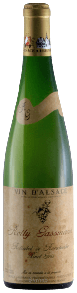 롤리 게스만 피노그리 2016