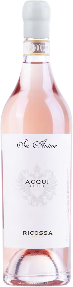 리코사 세이 아니메 아퀴 디오씨지 2020