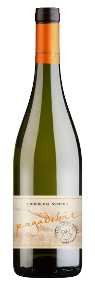 네스폴리 파가데빗 2021