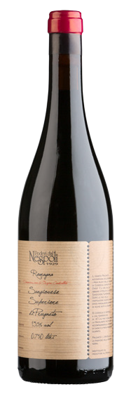 네스폴리 푸르니에또 2021