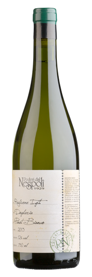 네스폴리 도게리아 2019