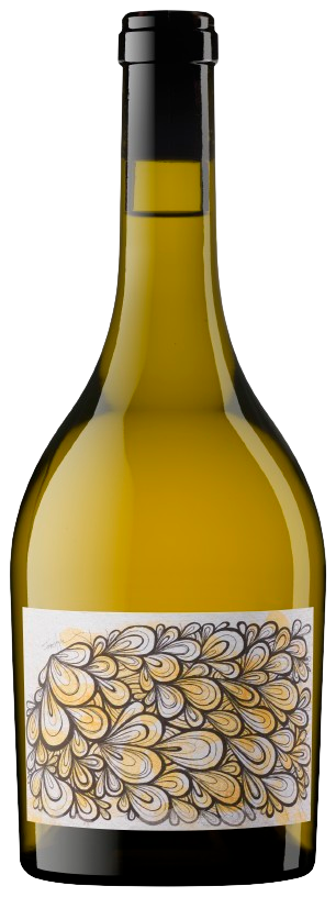 제이씨스 오운, 프리스타일러 2021