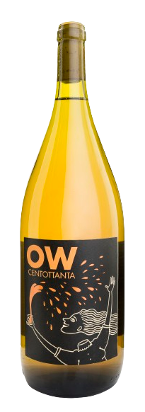 데니스 몬타나, OW 180 2019